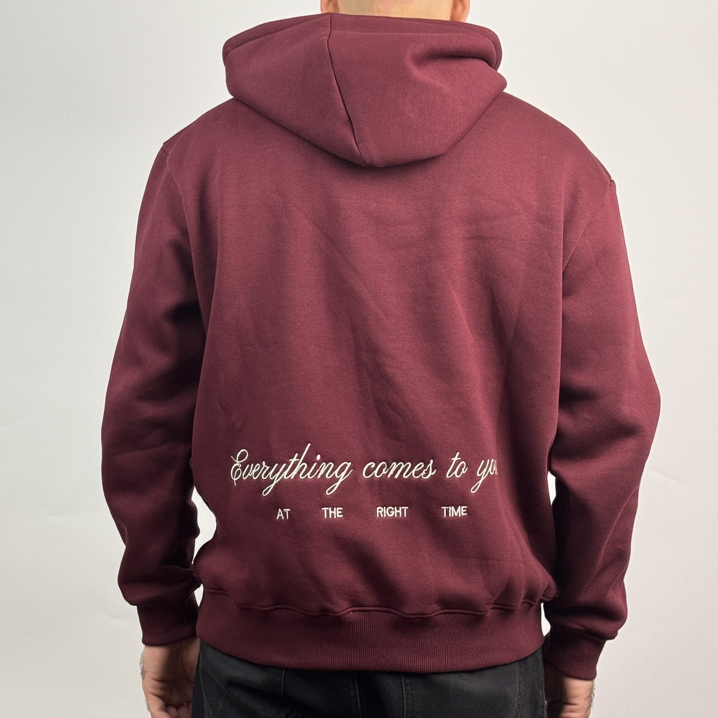 Art District Hoodie in Burgundy — back view