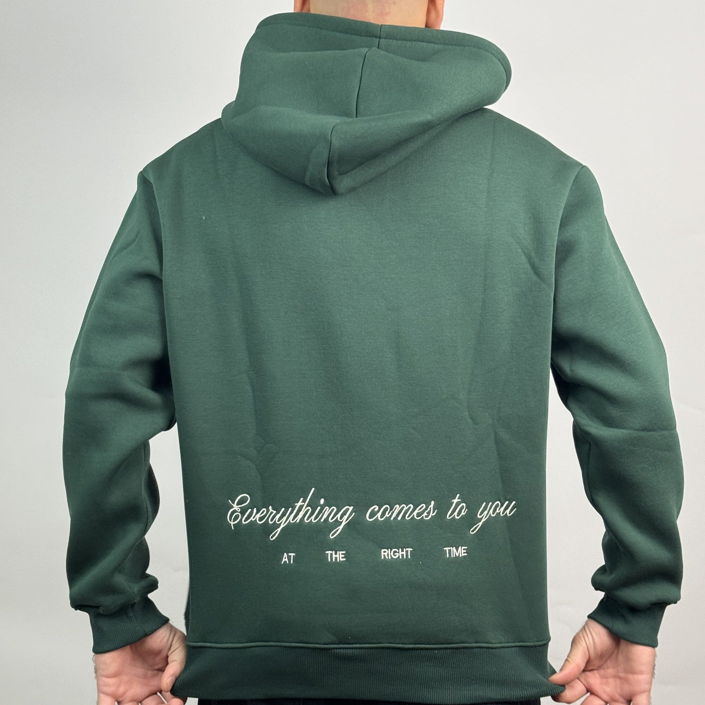 Art District Hoodie in Green — back view